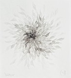 Bogdan Tanase Marinescu - Abstractie caligrafica, 2024