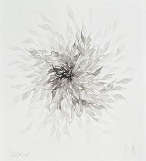 Bogdan Tanase Marinescu - Abstractie caligrafica, 2024