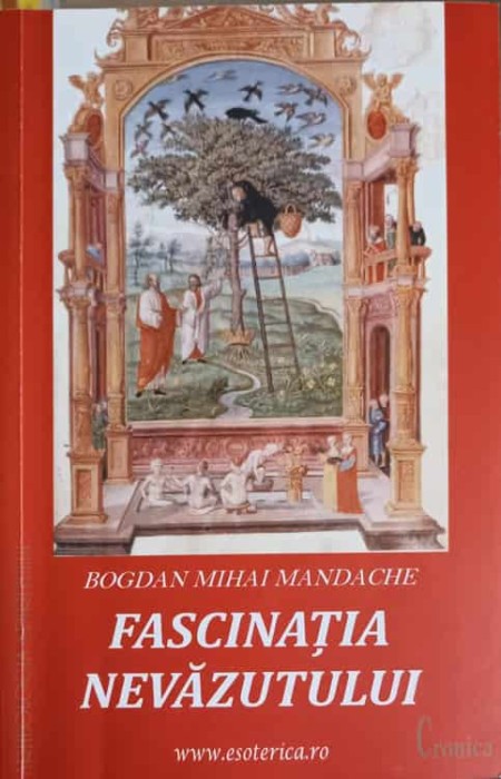 FASCINATIA NEVAZUTULUI-BOGDAN MIHAI MANDACHE-249745