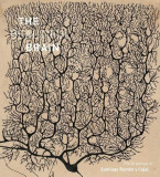 The Beautiful Brain | Larry Swanson, Eric Newman
