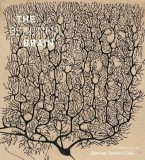 The Beautiful Brain | Larry Swanson, Eric Newman