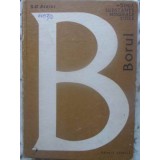 BORUL-S.D. STOICI-231110