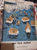 Ilie Tanasache - Ape fara maluri