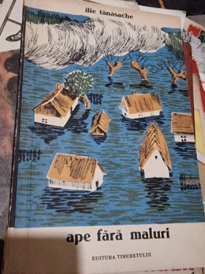 Ilie Tanasache - Ape fara maluri foto