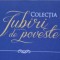 iubiri de poveste - colectie cărți 380 buc.