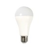 BEC LED E27 A65 RGB CCT SMART WI-FI 14W