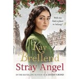 Stray Angel