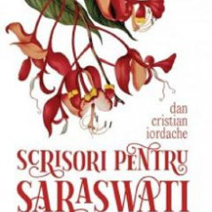 Scrisori pentru Saraswati - Dan Cristian Iordache