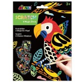 Kit de razuit, Avenir, 4 Pasari magice