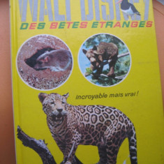 Album Walt Disney Libraria Hachette-Animale salbatice-Des betes Entranges.