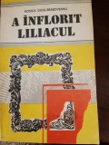 A inflorit liliacul Rodica Ojoc Brasoveanu 1990