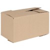 Gossi cutie plianta 50 buc 24x13x13 cm carton