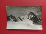 CARTE POSTALA - RPR - MUNTII FAGARASULUI - COLTII BOLACENI