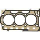 Victor Reinz Garnitura, chiulasa