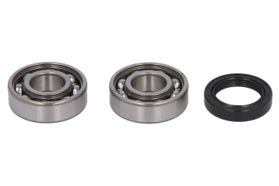 Balancing shaft repair kit fits: HONDA TRX 350/500 2000-2011 foto