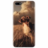 Husa silicon pentru Huawei Y5 2018, Alone Dog Animal In Grass