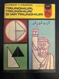 Triunghiuri, triunghiuri şi iar triunghiuri - Florica T. Cȃmpan