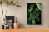 Tablou Canvas, "Frumusețea misterului vegetal luxuriant", Frunze, Verde, Monstera, Textură, Umbre, Natură, Luxuriant, Exotic, Organic, Vegetație, 26 x