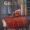 LITIGIUL-JOHN GRISHAM-245169