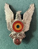 Insigna pilot militar 1992 1996 Romania clasa 1