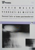 Vegheati de mister. Sensul intr-o lume postmoderna - David Walsh