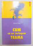 CUM SA NE INVINGEM TEAMA de SORIN ENE , 2005