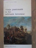 VIATA PASIONATA A LUI ADRIAEN BROUWER-FELIX TIMMERMANS