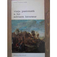 VIATA PASIONATA A LUI ADRIAEN BROUWER-FELIX TIMMERMANS