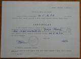 Certificat privind alegerea lui Groza Maria ca deputat in Marea Adunare Nationala, 1965