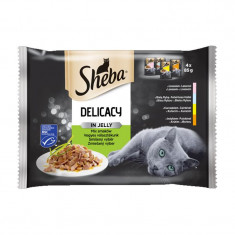 Sheba Delicacy capsule pentru pisici, selecție mixtă în jeleu 4 x 85 g