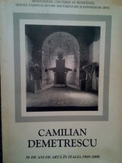 Camilian Demetrescu - 30 de ani de arta in Italia 1969-2000 foto