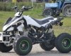 ATV Urban Speedy 125cc Import Germania foto