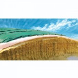 Cumpara ieftin Plasa protectie pentru folie siloz verde 6x8m