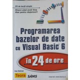 PROGRAMAREA BAZELOR DE DATE CU VISUAL BASIC 6 IN 24 DE ORE-DAN RAHMEL-254981