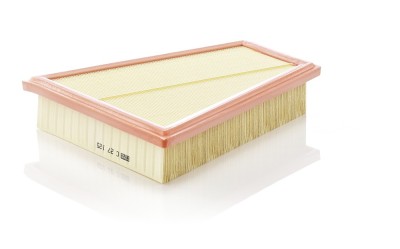 Filtru aer Mann-Filter C27125 foto