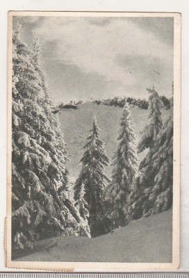 bnk cp Muntii Bucegi - Postavarul - circulata foto