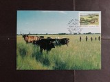 Carte Maximă Pășunat Controlat &amp; Creșterea Animalelor (Save the Soil) / Transkei (1985) - A583