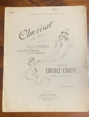 Partitura-Am visat foto