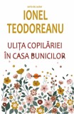 Ulita copilariei. in casa bunicilor - Cartex