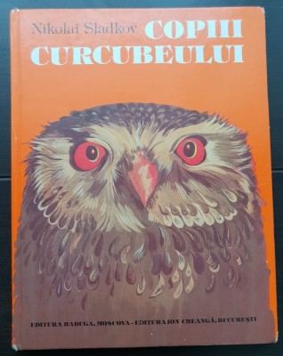 Copiii curcubeului - Nikolai Sladkov foto