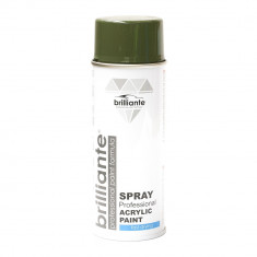 Spray Vopsea Brilliante, Verde Masliniu, 400ml foto