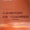 CANDORI DE TOAMNA. VERSURI-MIHAI LITU MUNTEANU-243244