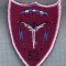 AX 1228 EMBLEMA AVIATIE-PARASUTISTI-ESCADRILA 52 ?-BAZA 52 ?-PENTRU COLECTIONARI