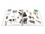 Carti educative cu CD invat limba franceza, Gama