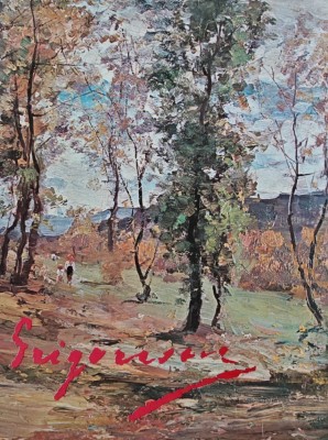 Nicolae Grigorescu (BH24) foto