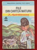 &quot;File din Cartea Naturii&quot; - Biblioteca Pentru Toti Copiii, 1986