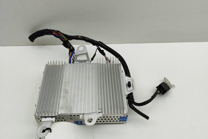 Amplificator de sunet TESLA MODEL Y 2024 OEM: 1507152-01-B 30760832