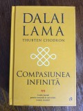 Compasiunea infinita - Dalai Lama / R5P2S, Alta editura