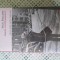 Saul Bellow - Darul lui Humboldt