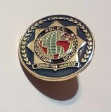 Insigna pin - InterPol Spania